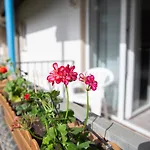 Willmeroth Guest house